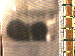 SurveyImage_05_03.png