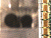 SurveyImage_07_03.png