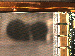 SurveyImage_09_04.png
