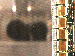 SurveyImage_11_03.png