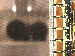 SurveyImage_13_03.png