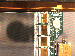 SurveyImage_25_04.png
