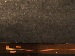 SurveyImage_10_05.png