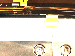 SurveyImage_12_01.png