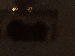 SurveyImage_12_03.png