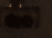 SurveyImage_14_03.png