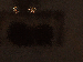 SurveyImage_15_03.png