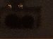SurveyImage_16_03.png
