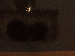 SurveyImage_19_03.png