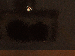 SurveyImage_20_03.png