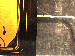 SurveyImage_28_02.png