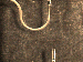 SurveyImage_29_03.png