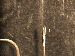 SurveyImage_29_04.png