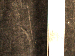 SurveyImage_30_03.png