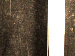 SurveyImage_30_04.png