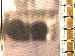 SurveyImage_05_03.png