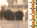SurveyImage_07_03.png