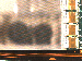 SurveyImage_09_02.png