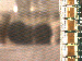SurveyImage_09_03.png