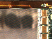 SurveyImage_09_04.png