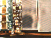 SurveyImage_10_02.png