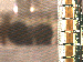 SurveyImage_11_03.png