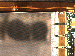 SurveyImage_11_04.png