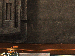 SurveyImage_12_05.png