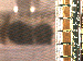SurveyImage_13_03.png