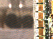SurveyImage_15_03.png