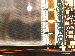 SurveyImage_21_02.png