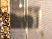 SurveyImage_24_03.png
