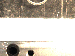 SurveyImage_29_01.png