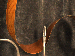 SurveyImage_29_04.png