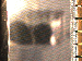 SurveyImage_01_03.png