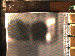 SurveyImage_01_04.png