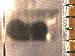 SurveyImage_03_03.png