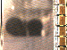 SurveyImage_05_03.png