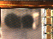 SurveyImage_05_04.png