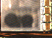 SurveyImage_07_02.png