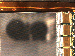 SurveyImage_07_04.png