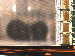 SurveyImage_09_02.png