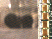 SurveyImage_09_03.png