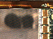 SurveyImage_09_04.png