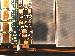 SurveyImage_10_02.png