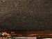 SurveyImage_10_05.png