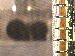 SurveyImage_11_03.png