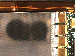 SurveyImage_11_04.png