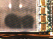 SurveyImage_13_02.png
