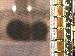 SurveyImage_13_03.png
